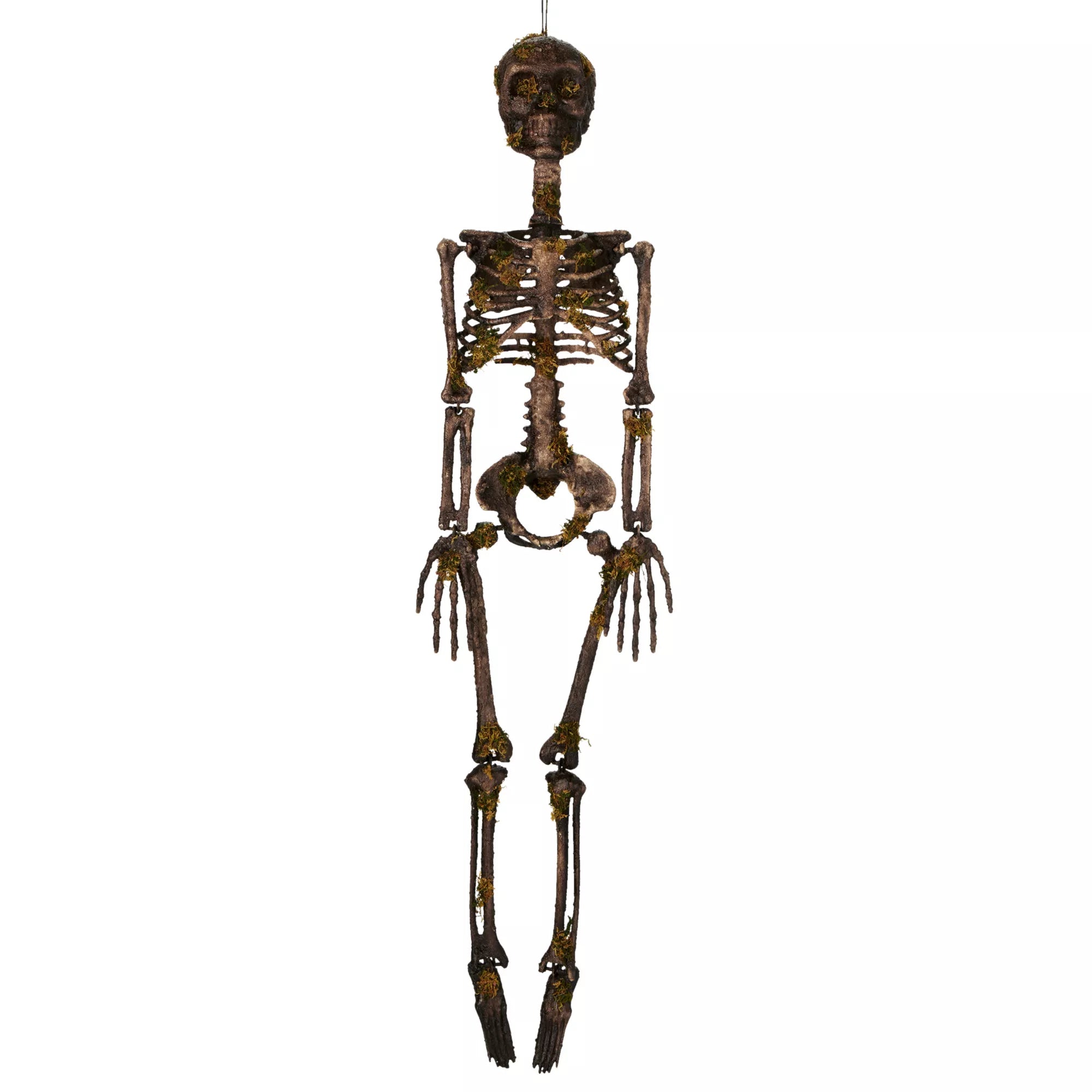 Moss Skeleton