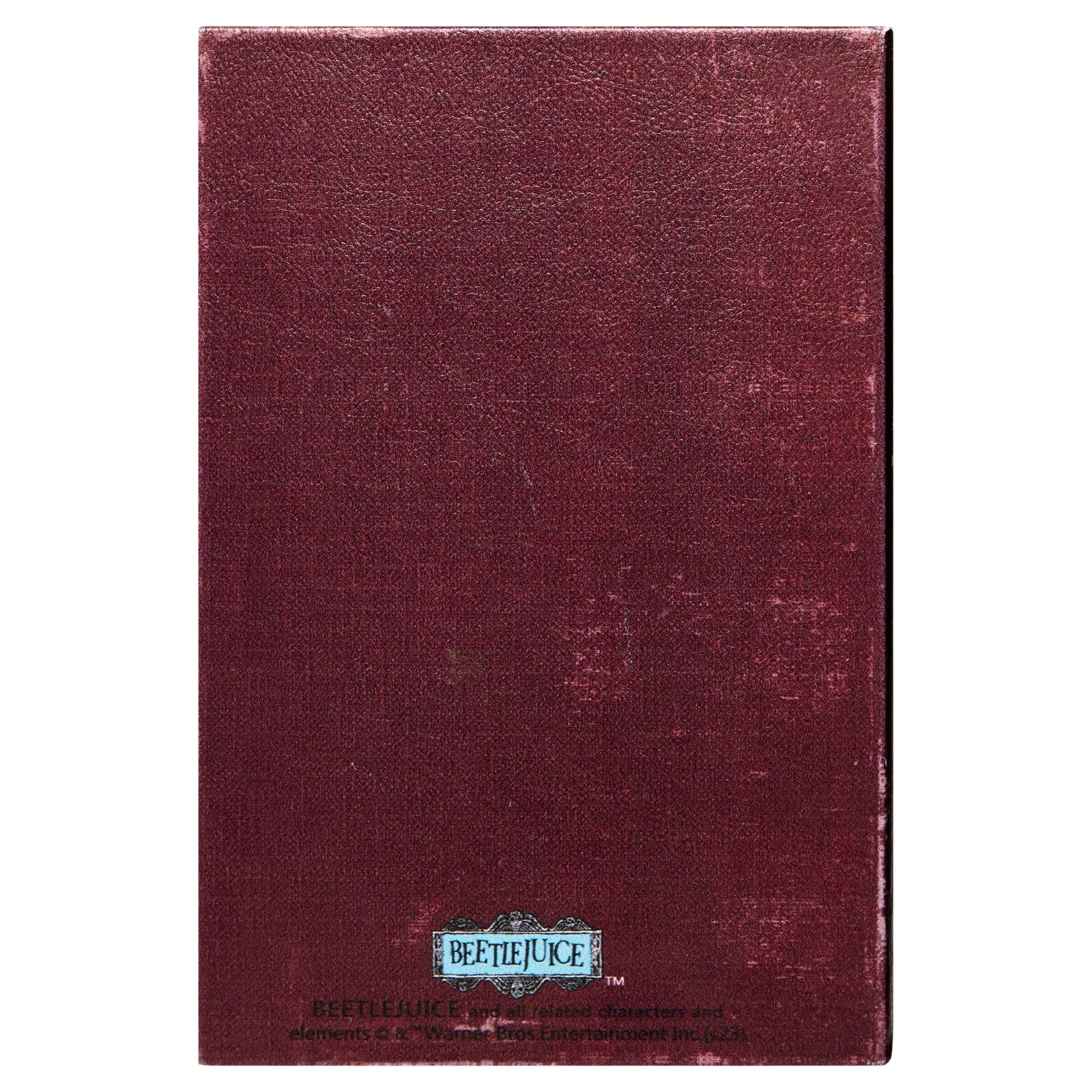 Handbook for The Recently Deceased Trinket Box - Beetlejuice