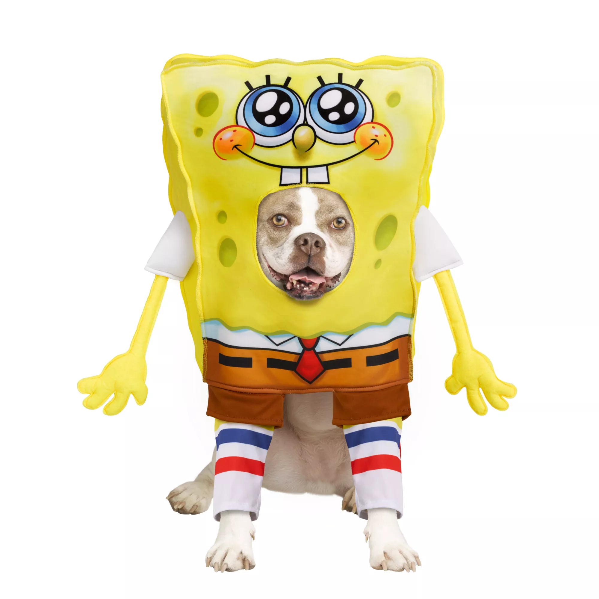 SpongeBob SquarePants Pet Costume - Nickelodeon