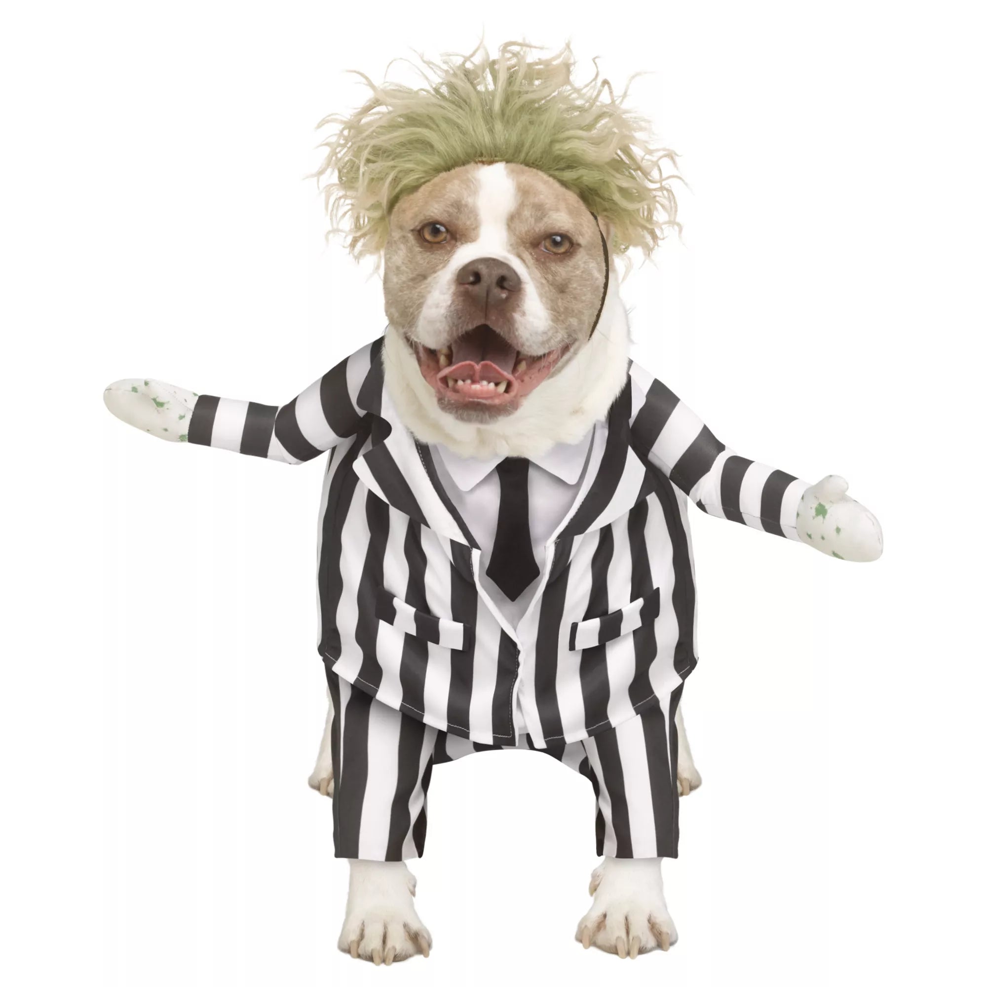 Beetlejuice Pet Costume