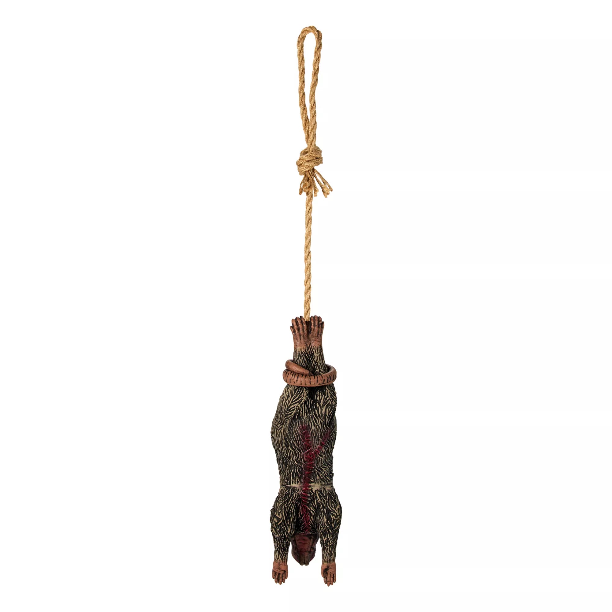 Hanging Zombie Rat Static Prop