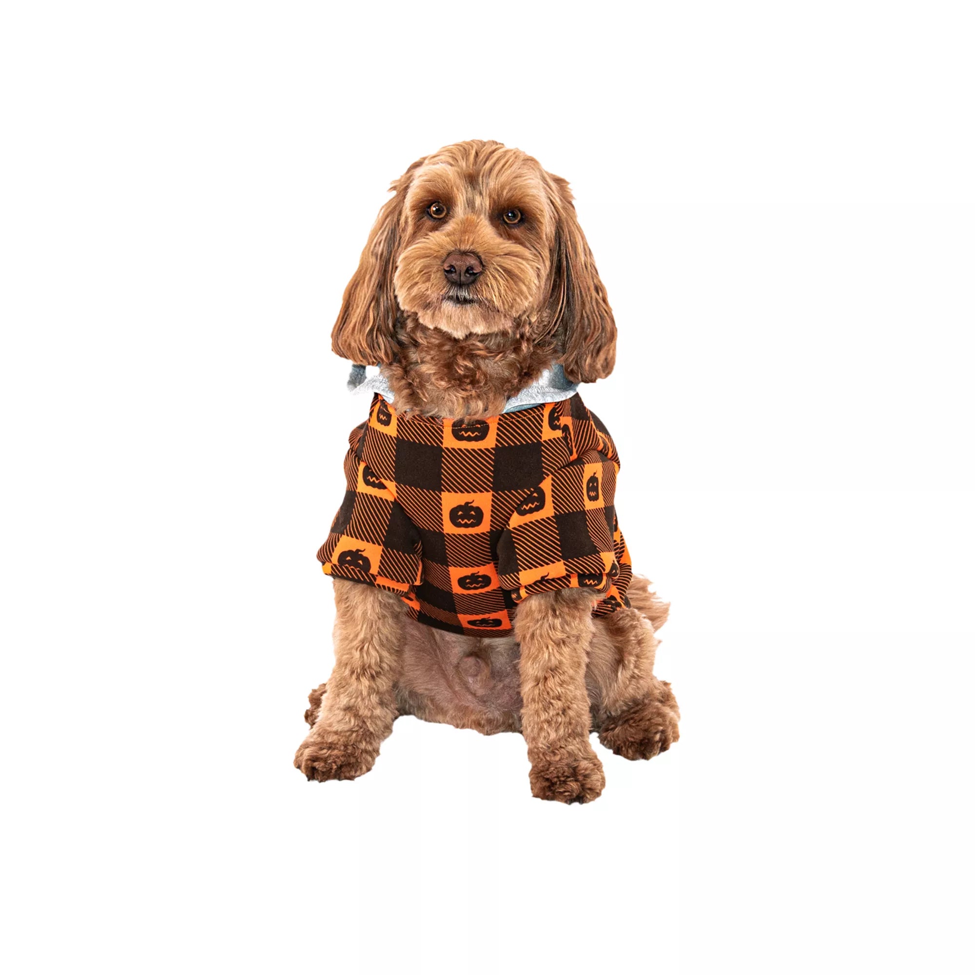 Pumpkin Pet Hooded Flannel