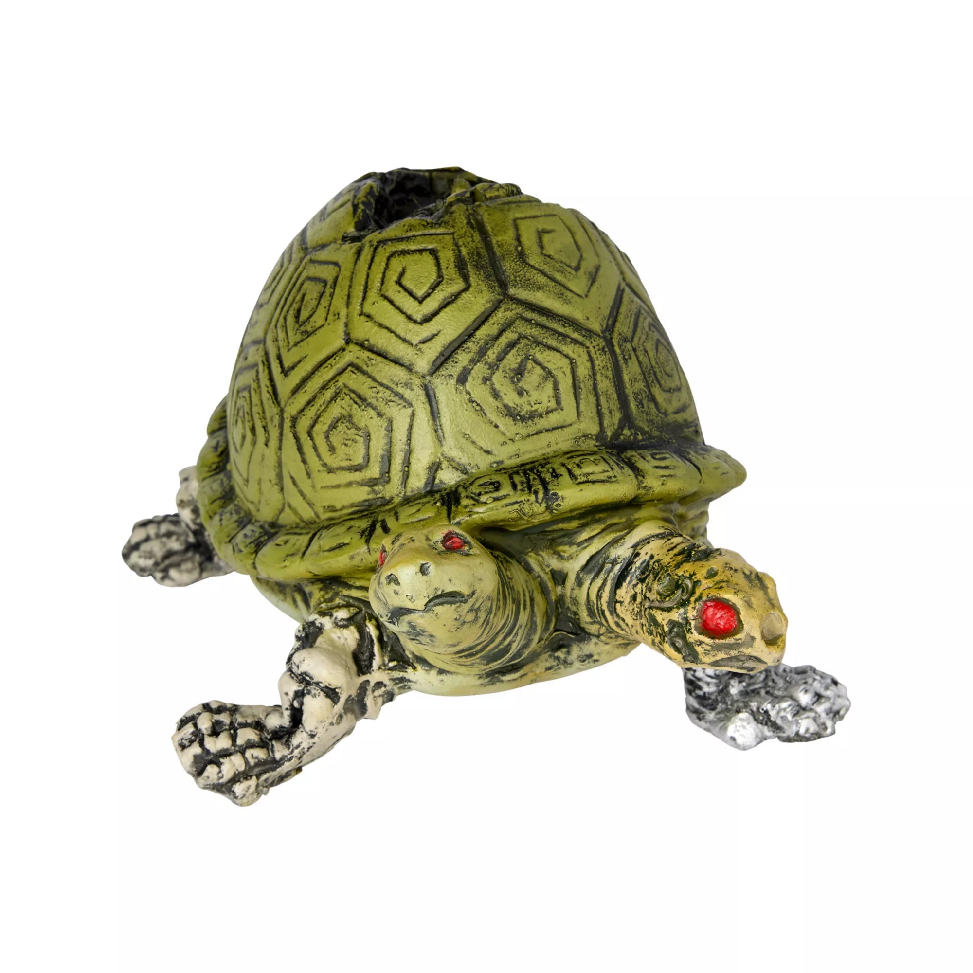 Two Headed Turtle