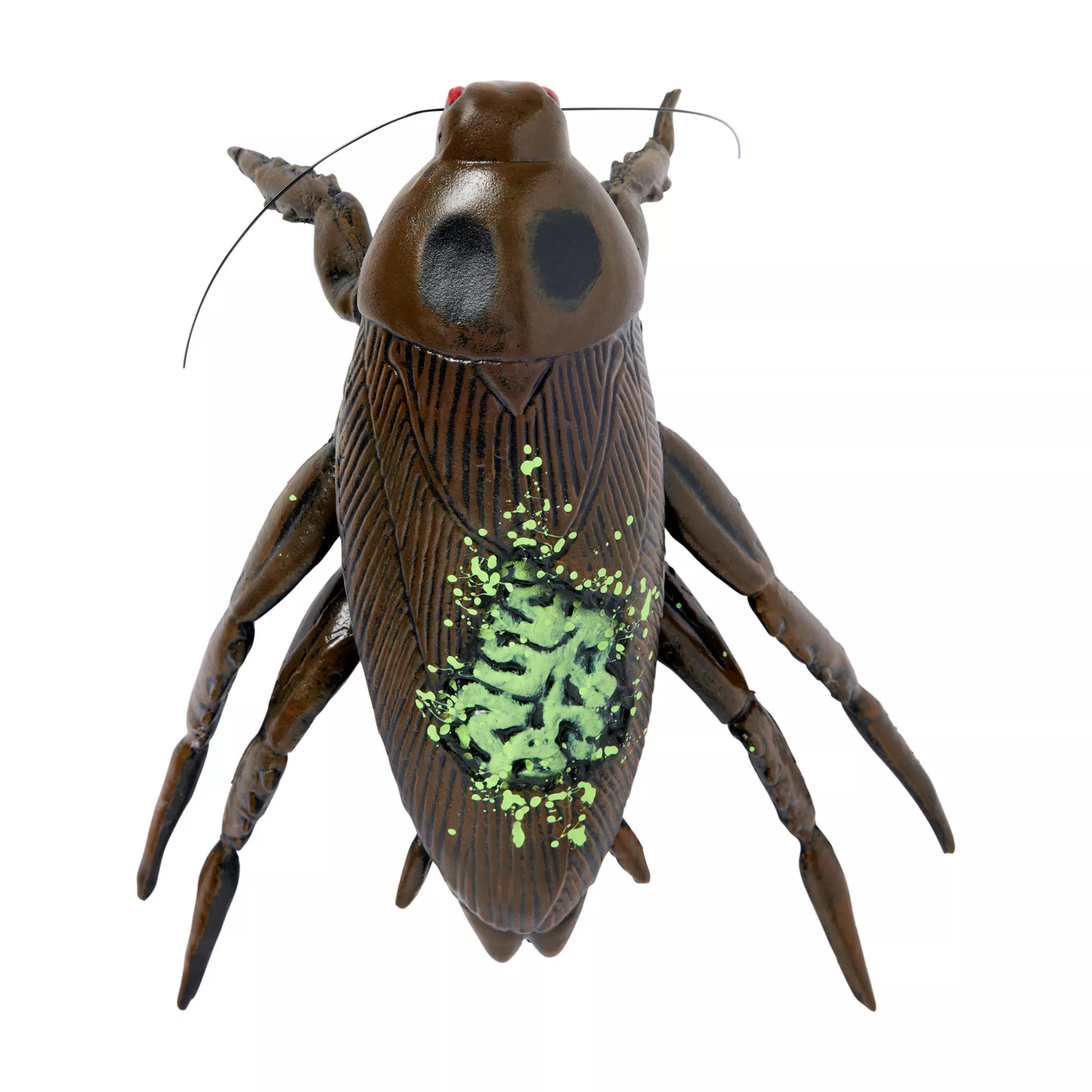 Zombie Cockroach Static Prop