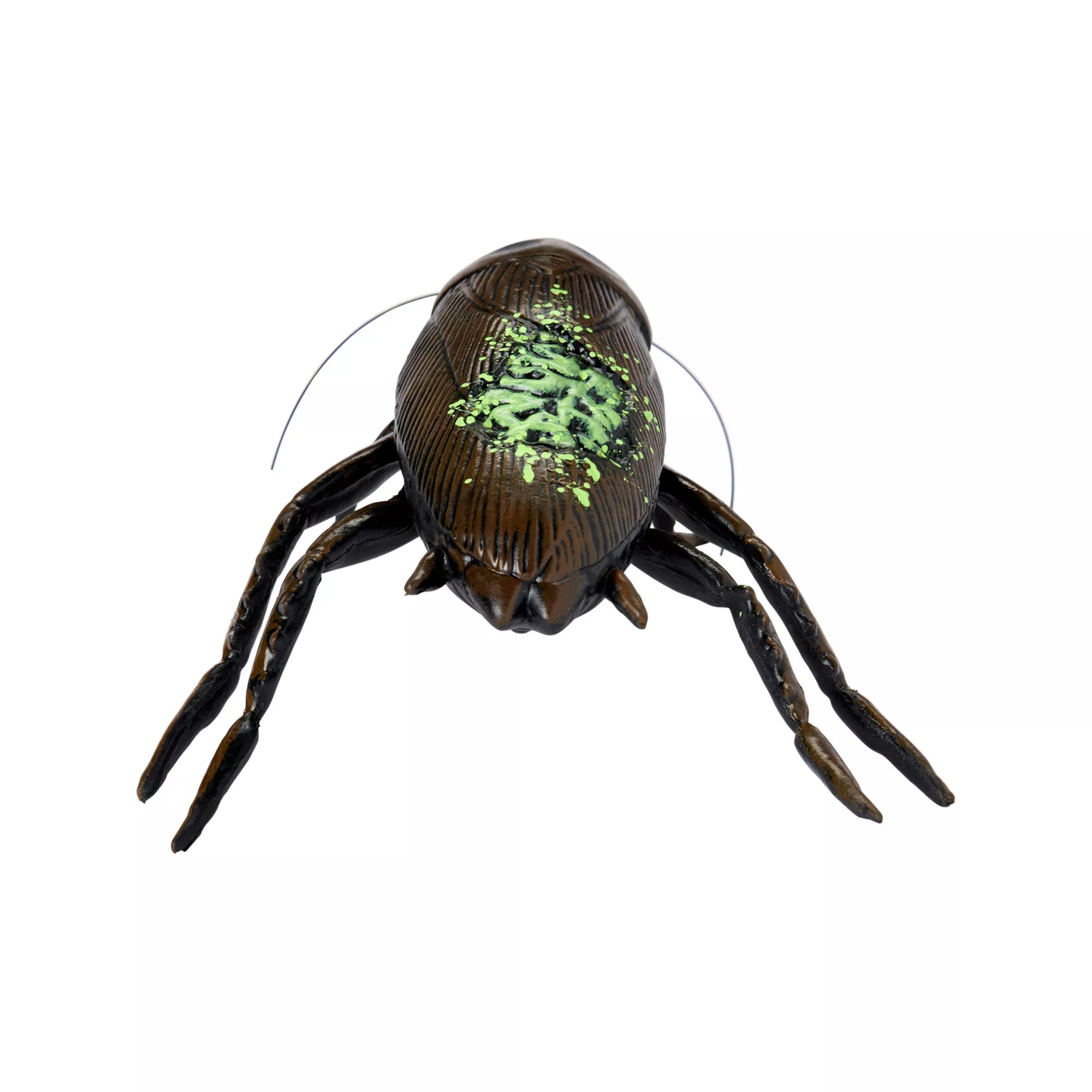 Zombie Cockroach Static Prop