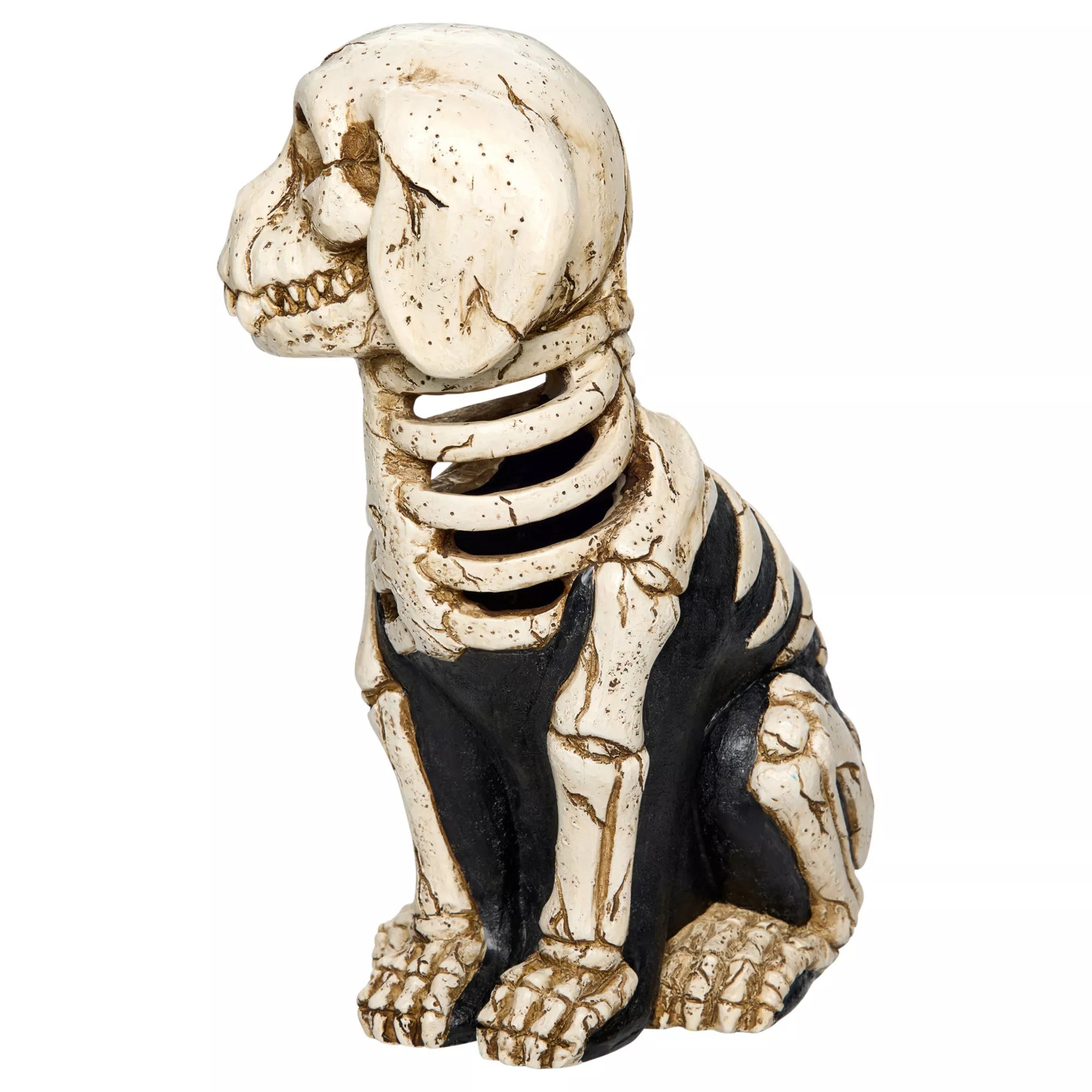 Light-Up Skeleton Dog Statue