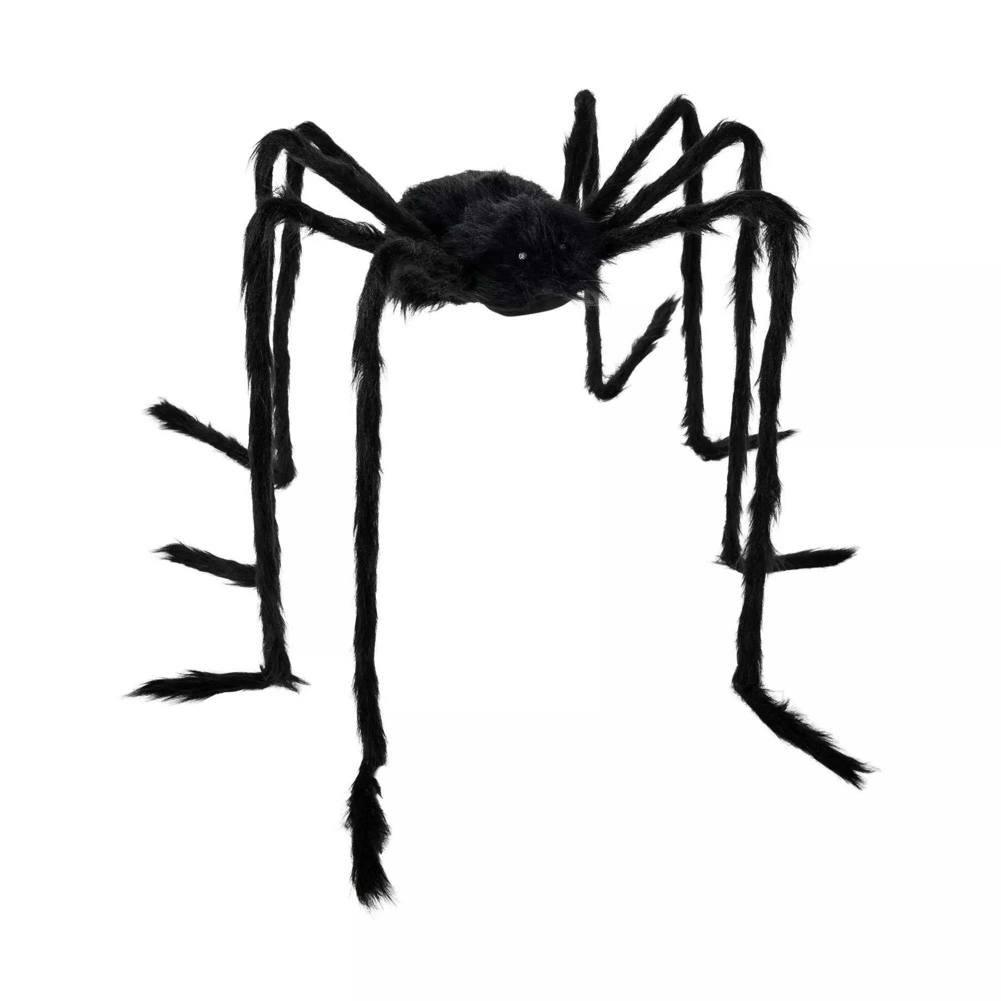 5 Ft Light-Up Black Spider